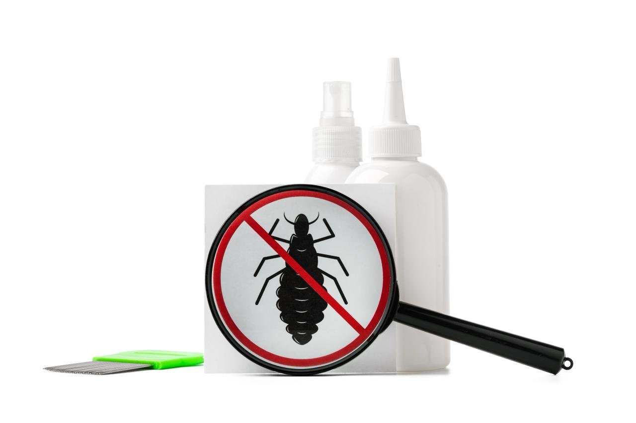 Why DIY Lice Treatments Fail: Common Mistakes Parents Make